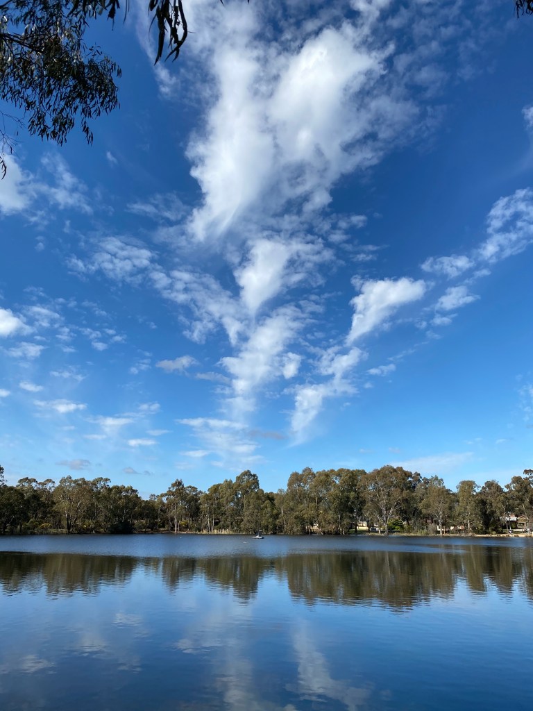 This image has an empty alt attribute; its file name is img_2696.jpeg